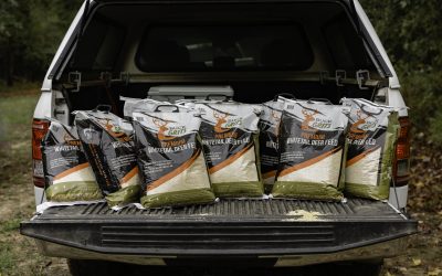 The Role of Proper Nutrition in Antler Growth