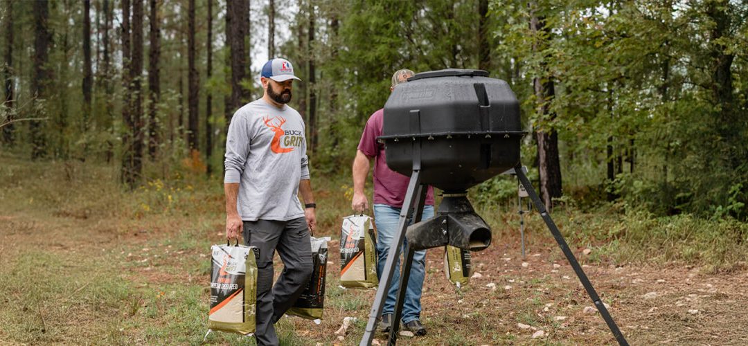 What to Do in the Off-Season to Keep Your Property Deer-Ready
