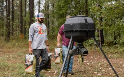 What to Do in the Off-Season to Keep Your Property Deer-Ready