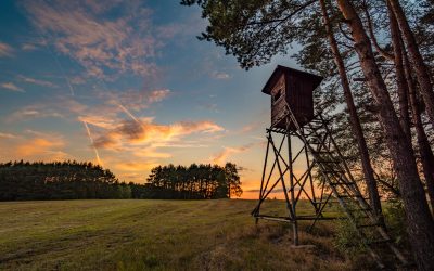 Make the Most of Your Time in the Stand