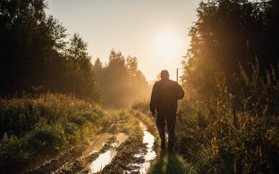 The Perfect Morning in the Woods: A Hunter’s Guide to Enjoying the Experience